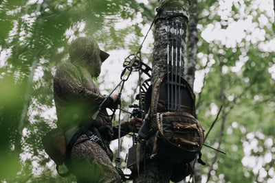 Late‑November Advantage: Why the Post‑Peak Window Might Be Your Best Shot