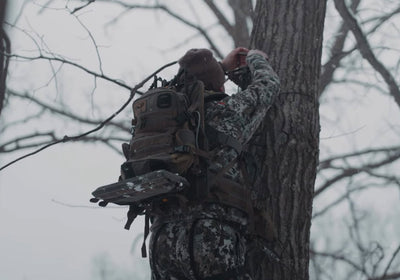 Post‑Rut Bucks: 5 Places They Go to Disappear — and How to Hang There