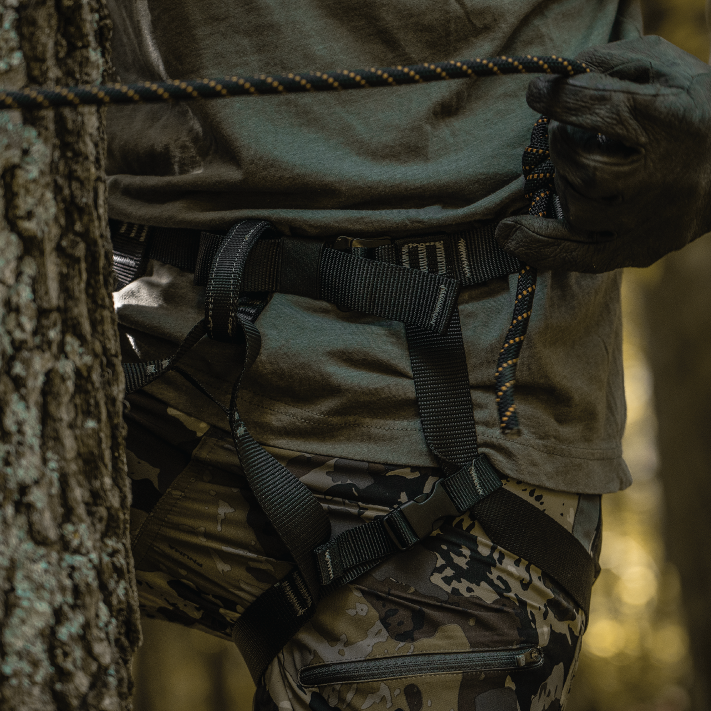 HARNESSES – XOP